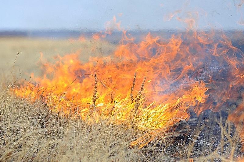 В Улытауском районе ликвидированы все пожары  