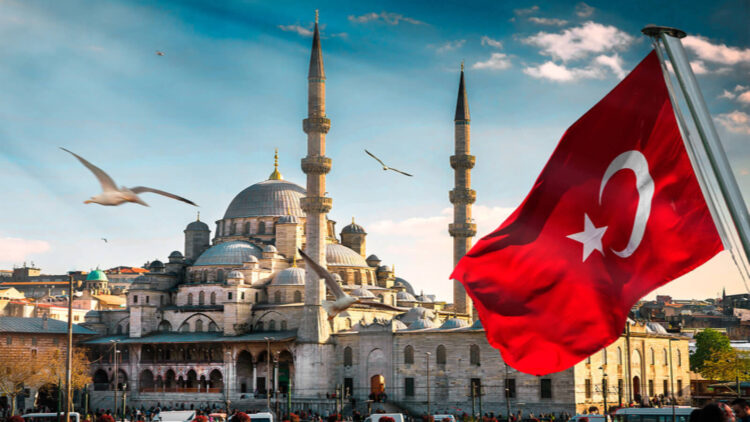 Когда туристы смогут посещать Турцию без тестов на коронавирус  