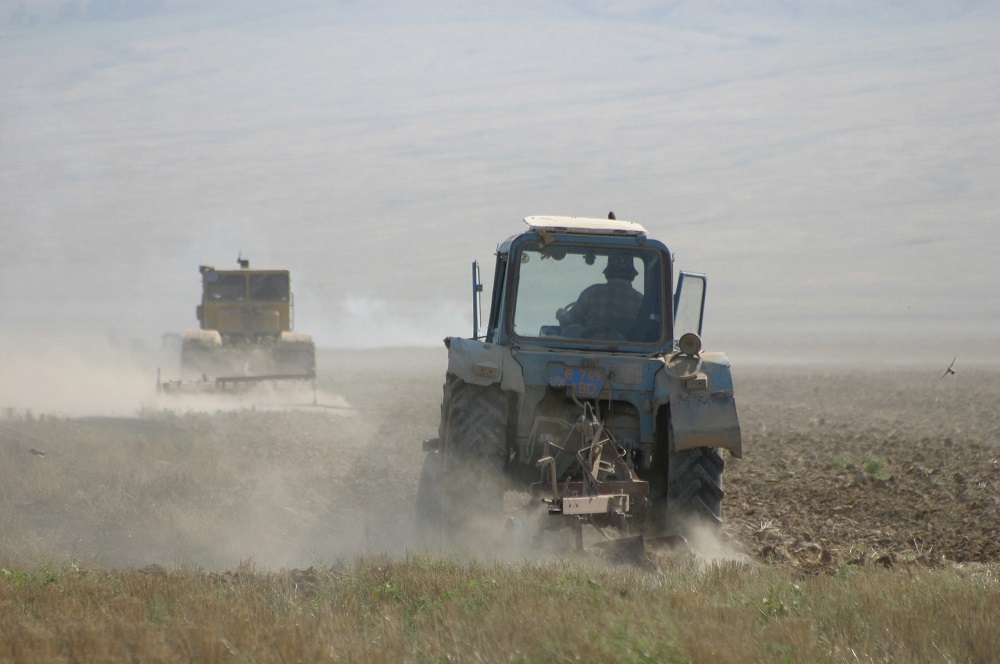 Атыраулық фермерлер жұмыс күшін Өзбекстаннан шақыртуға мәжбүр