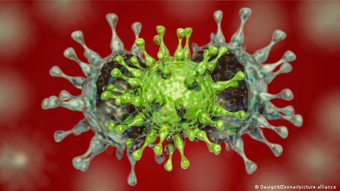 Первые случаи заражения омикрон-штаммом коронавируса выявлены в столице США 