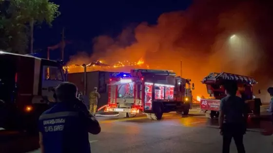 «Кедр» моншасындағы өрттің себебі анықталды