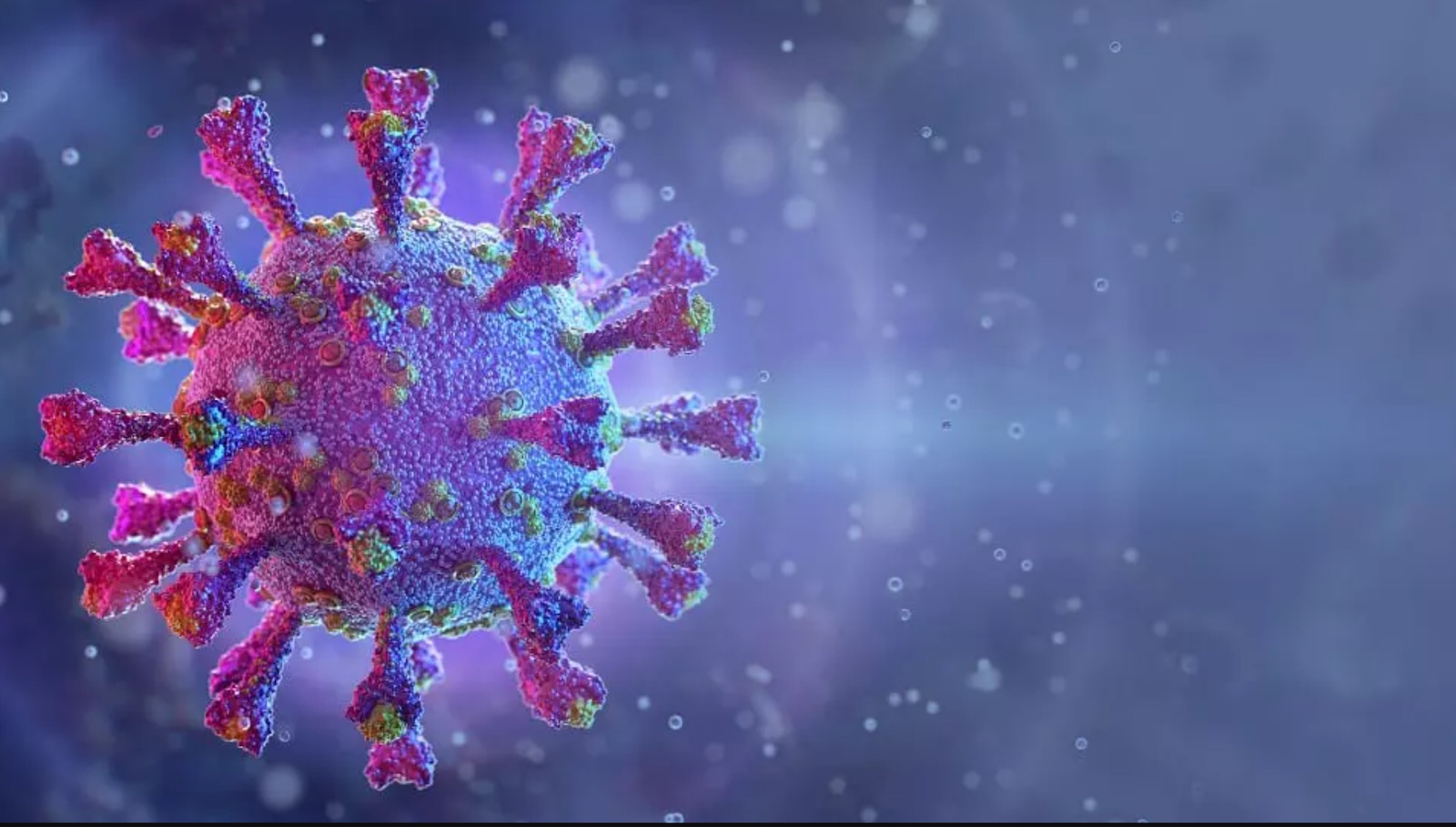 SARS-CoV-2 вирусының таралу жолы зерттеліп жатыр