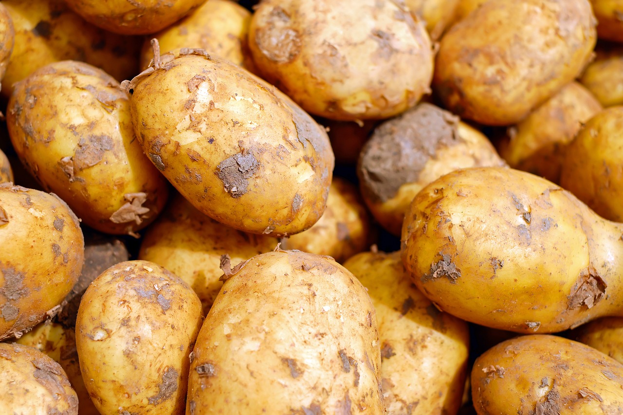Россельхознадзор может запретить поставки картофеля из Казахстана