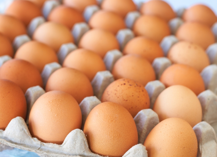 В Шымкенте и Акмолинской области производители яиц снизили цену на 5%