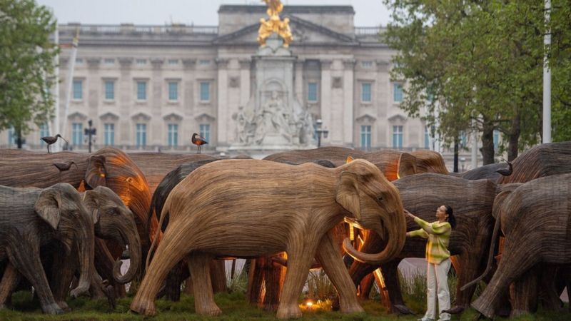 Деревянное стадо слонов пригнали к Букингемскому дворцу