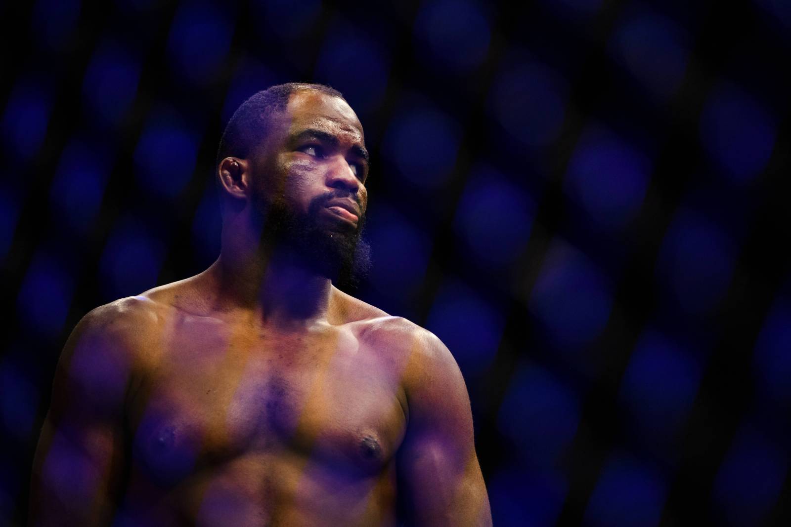 Звезда UFC Джон Джонс арестован по обвинению в домашнем насилии 