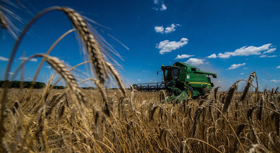 В казахстанском сельском хозяйстве наметился разлад между зернотрейдерами и мукомолами