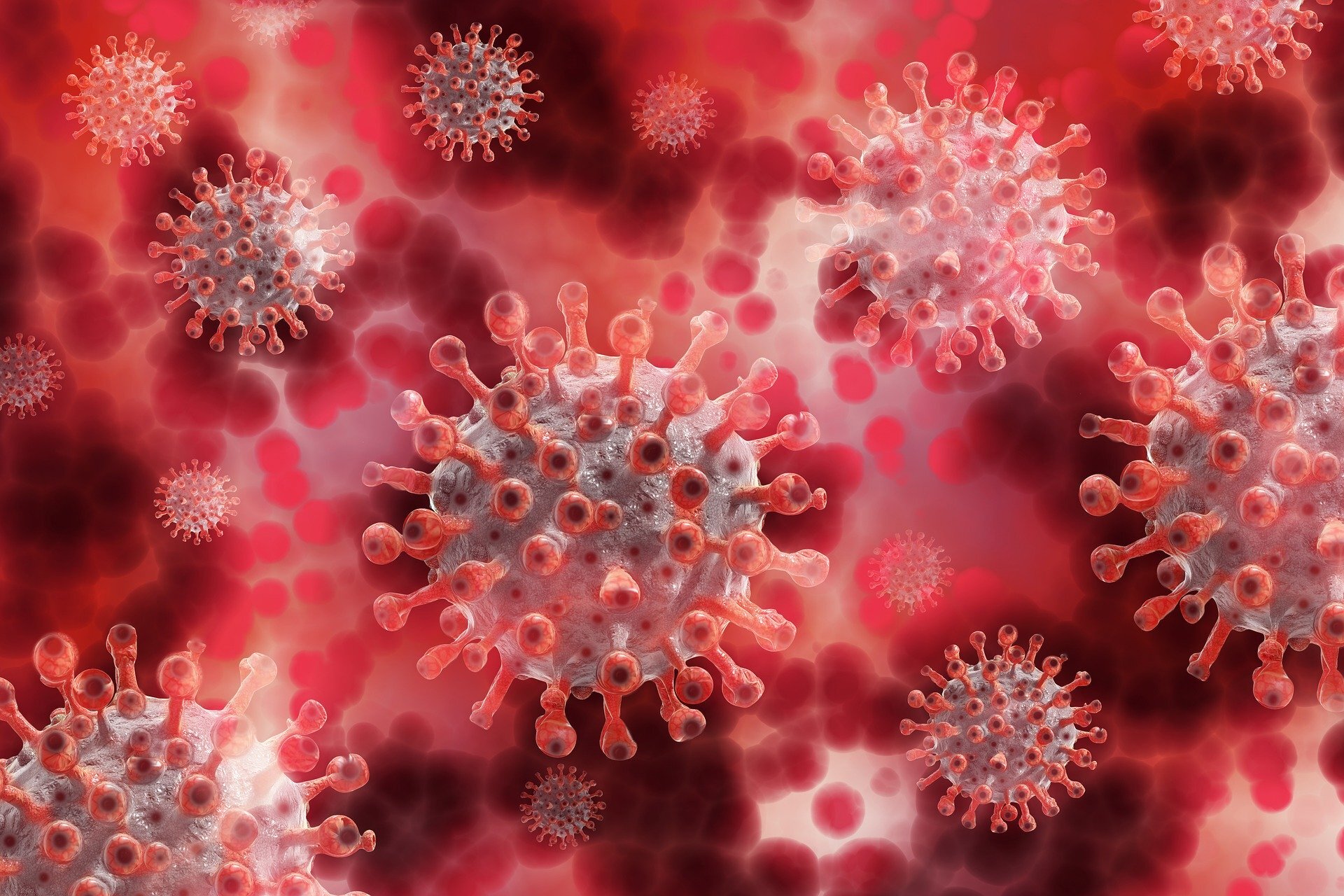 Группа ученых, исследующих происхождение вируса Covid-19, распущена