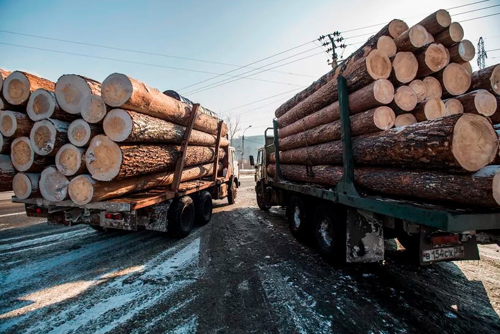 В Казахстане продлен запрет на вывоз из территории страны лесоматериалов