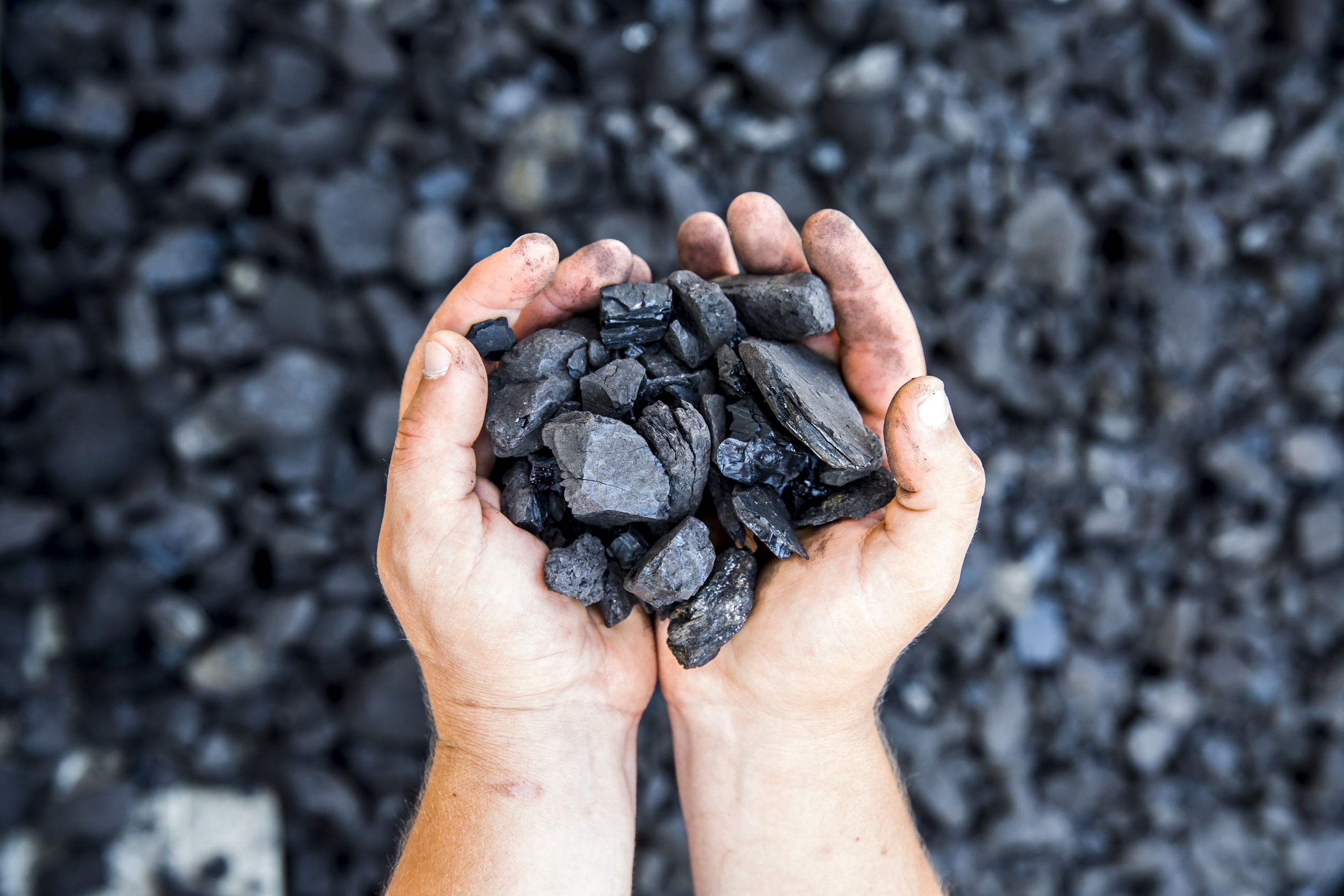 Жительница Алматинской области забралась в ковш погрузчика, чтобы купить уголь 