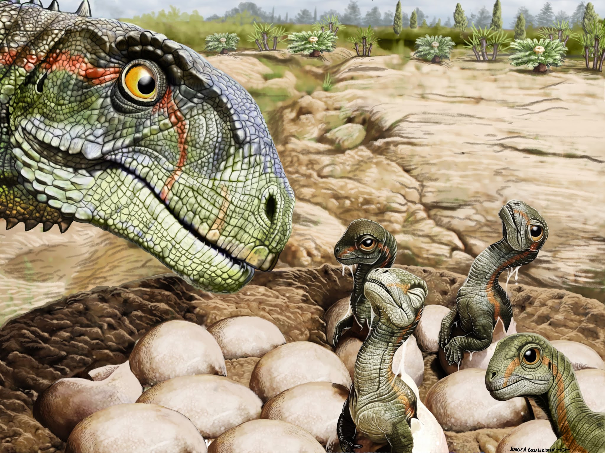 Динозавры демонстрировали социальное поведение уже 193 млн лет назад – исследование