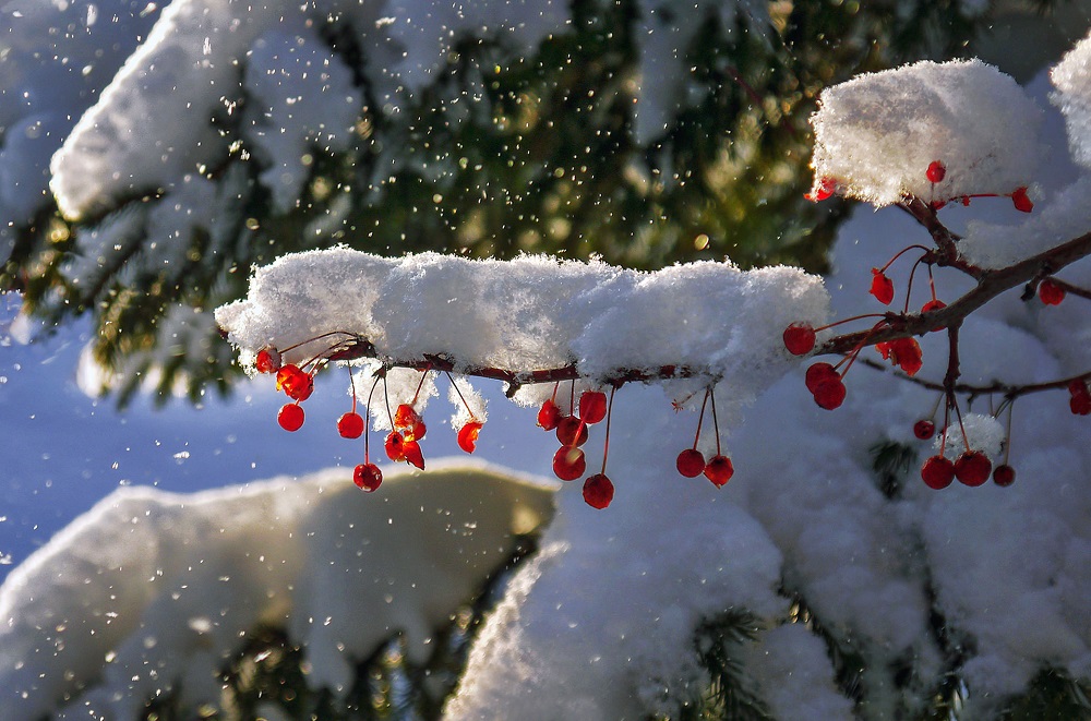 Прогноз погоды: на западе Казахстана ожидается снег