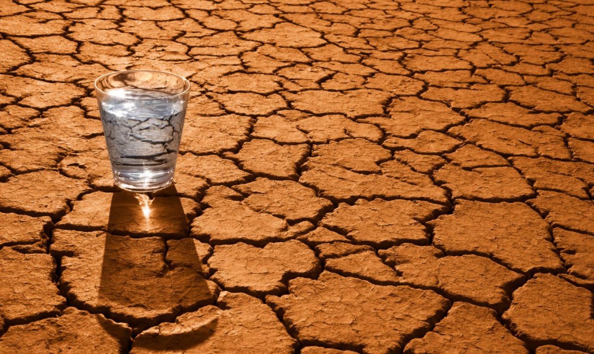 К чему может привести дефицит воды в странах Центральной Азии