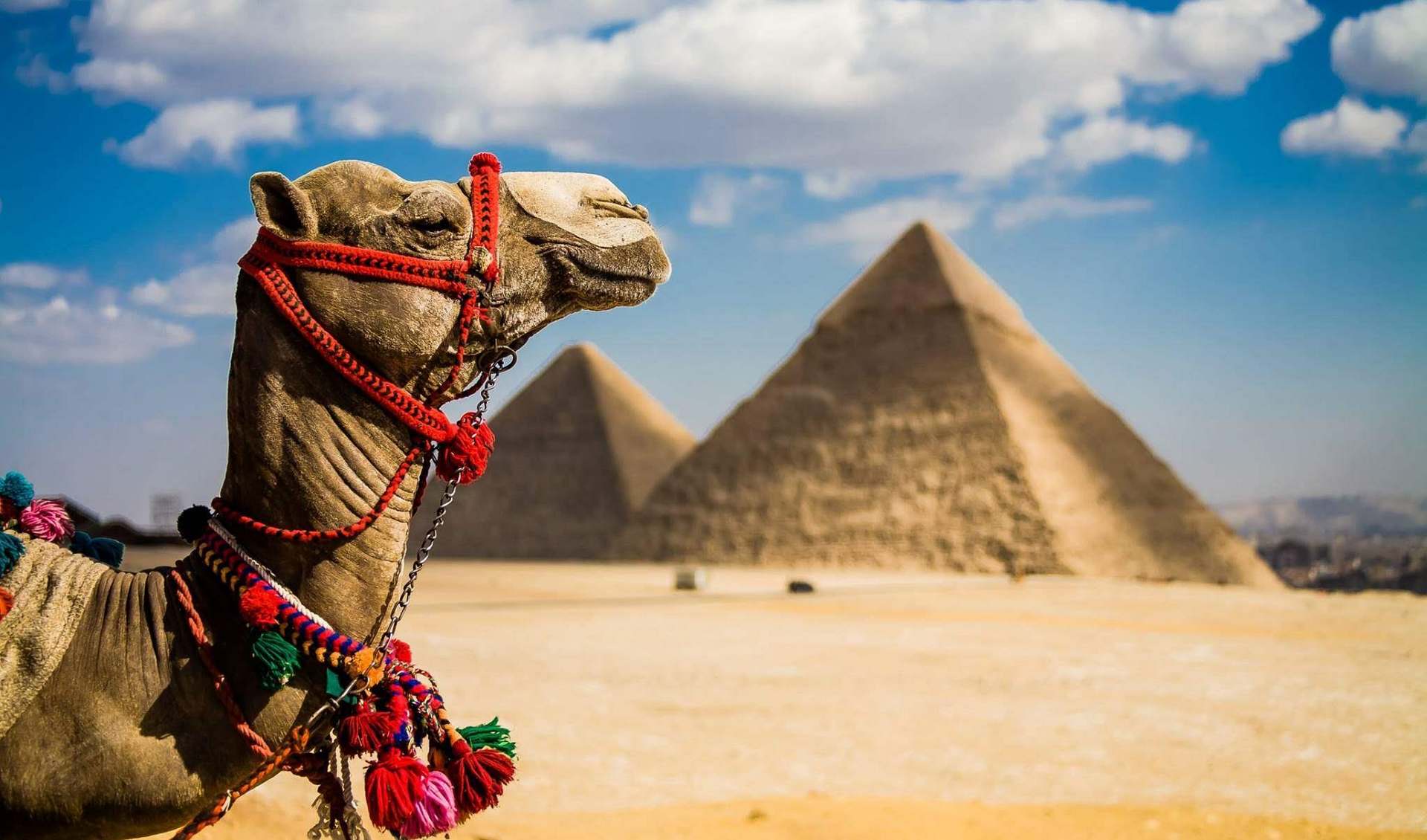 Два новых тургорода откроют в Египте