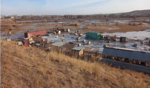 Прорыв плотины в Алматинской области: появилось видео затопленного приюта для собак