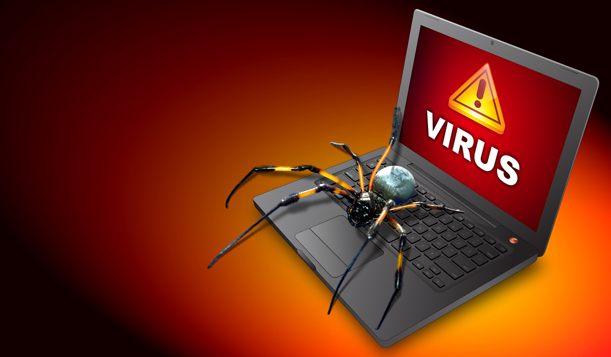 Опасный вирус угрожает Windows 