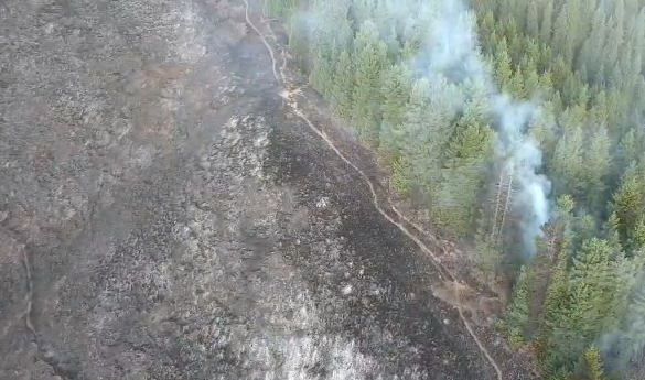 Крупный лесной пожар тушат в Аксайском ущелье
