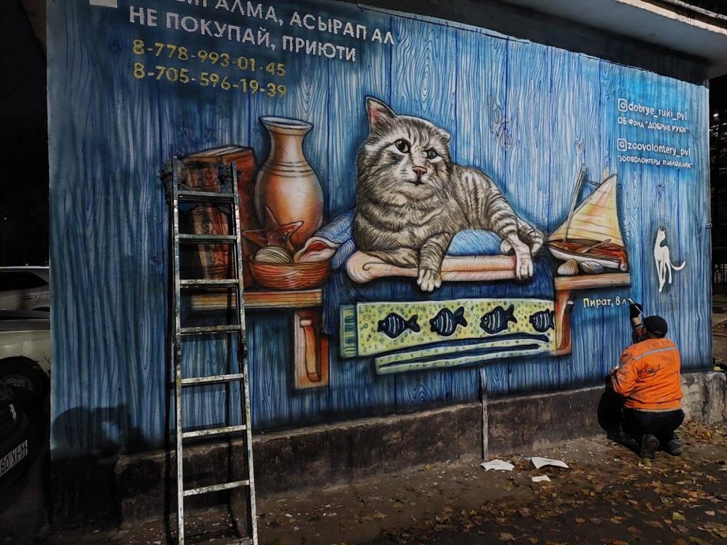 Мурал, посвященный реальному коту, появился в Павлодаре