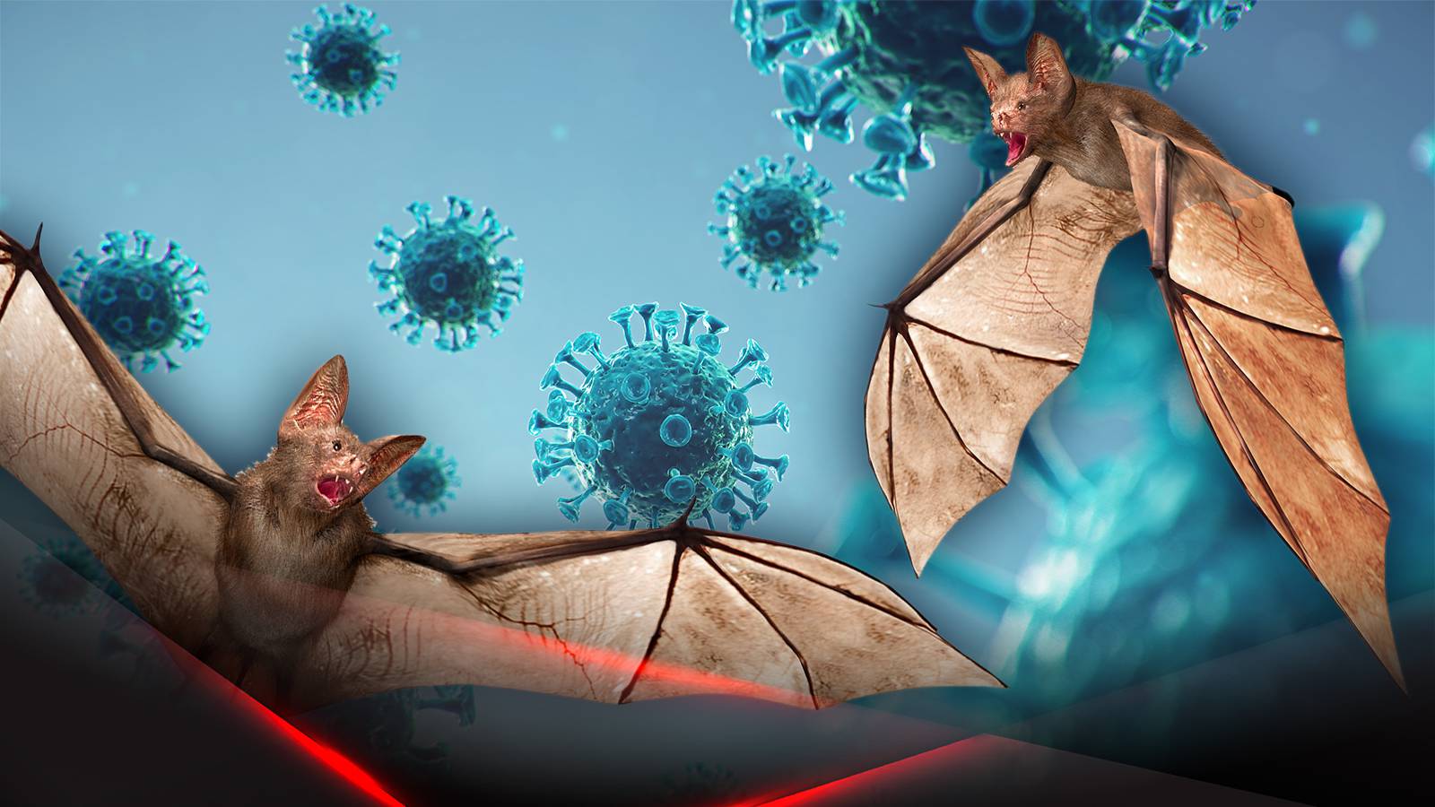 Новая версия начала пандемии коронавируса