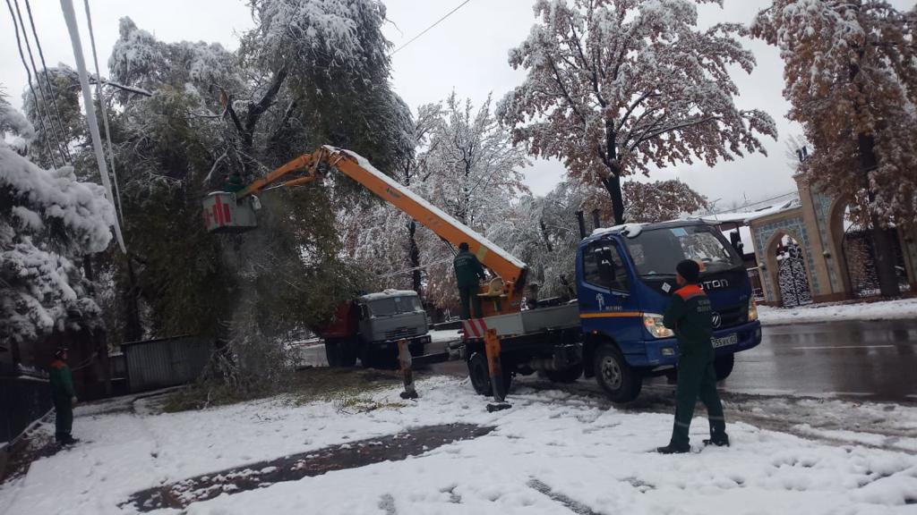 Сколько снега выпало в Алматы