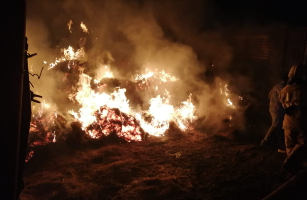 Трое детей сгорели в сене в Атырауской области