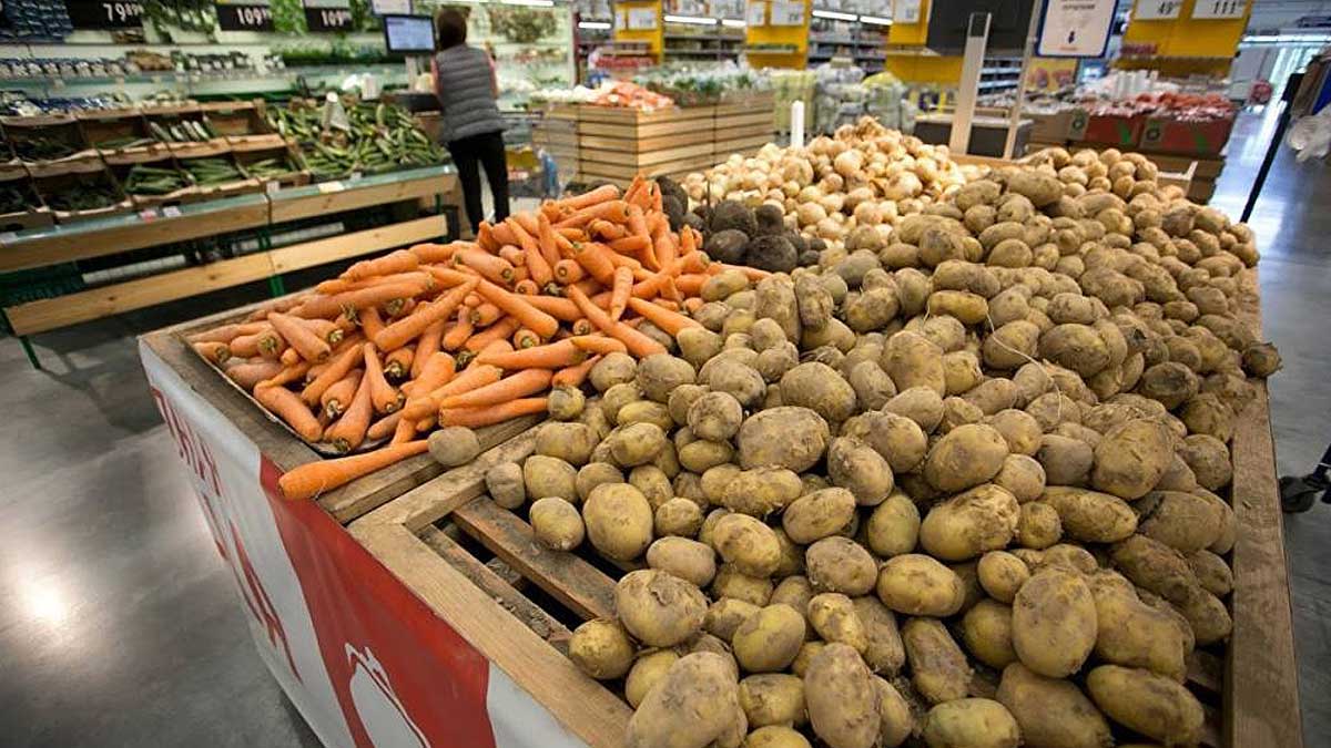 Цены на картофель и морковь расти не будут 