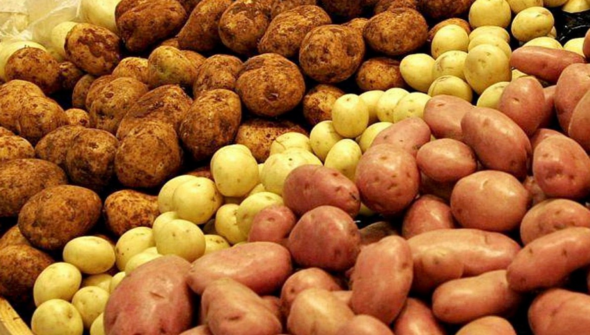 С лета цены на картофель упали на 34% – минторг