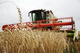 В Казахстане завершили уборку зерновых и зернобобовых