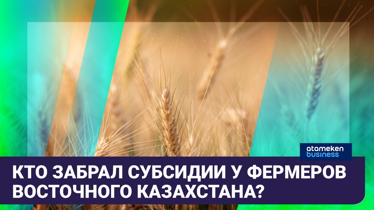 Кто забрал субсидии у фермеров Восточного Казахстана?