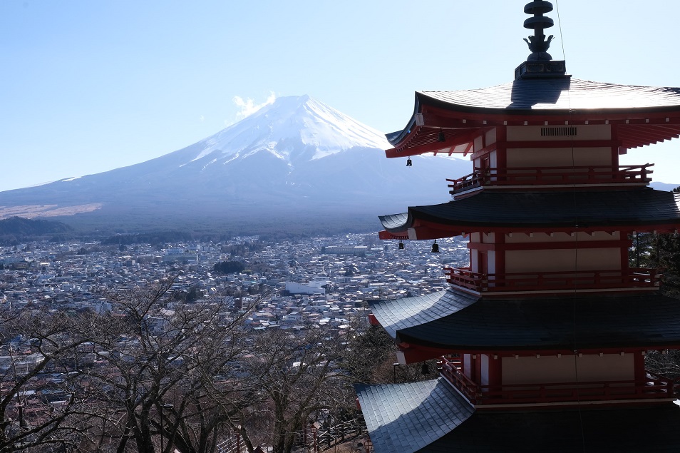 Япония закрывает свои границы в связи с появлением омикрон-штамма