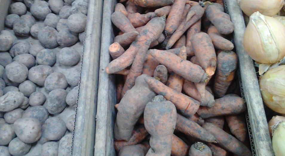 Аким области прокомментировал скандал с гнилым социальным картофелем в супермаркетах Актобе