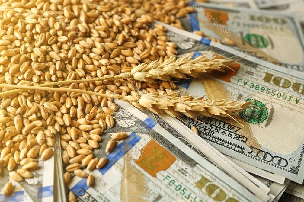 Цены на пшеницу в Казахстане продолжают расти